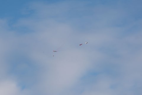 Counter-UAS-Technologie von SKYSEC